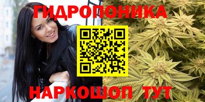 СК Нальчик
