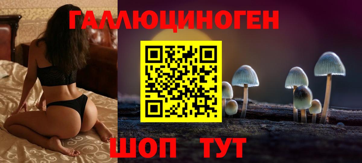 Псилоцибиновые грибы прущие грибы  Вход с VPN  купить закладку  Северобайкальск 